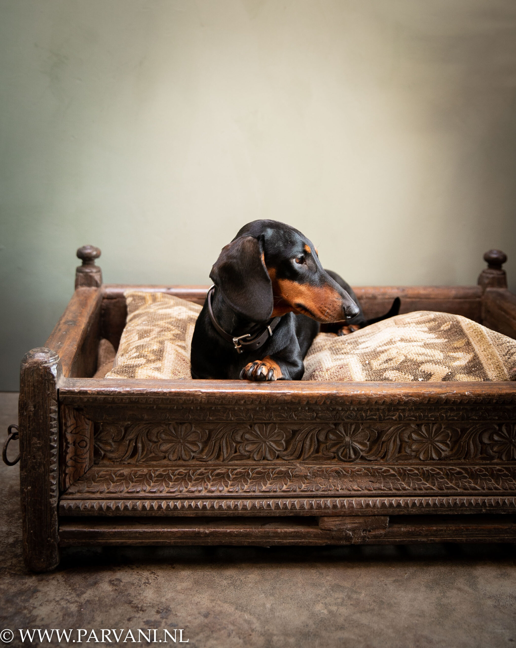 Altijd residu Mark Uniek origineel houten bedje- hondenmand met houtsnijwerk uit India met  kelimkussen | Parvani